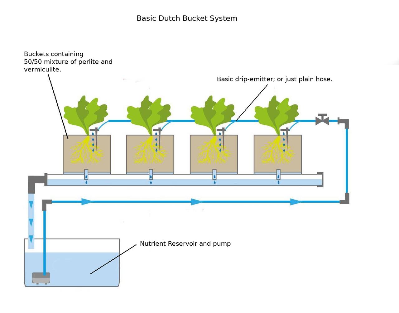 /images/hydroponics/dutch_bucket_diagram.jpg